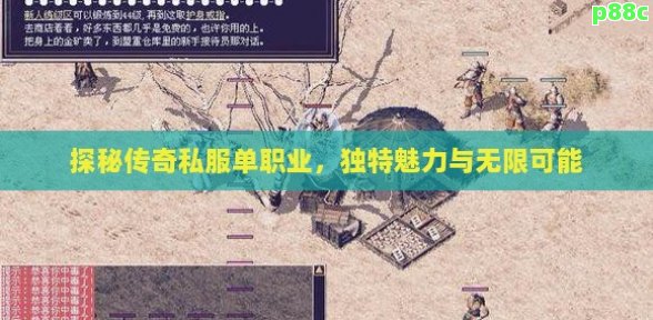 探秘传奇私服单职业，独特魅力与无限可能