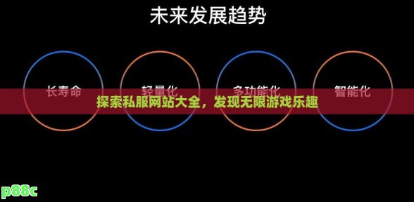 探索私服网站大全，发现无限游戏乐趣
