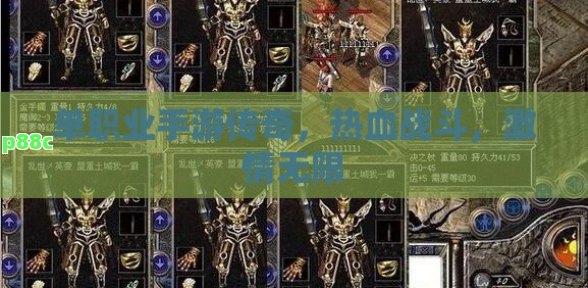 单职业手游传奇，热血战斗，激情无限