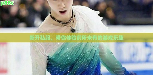 新开私服,带你体验前所未有的游戏乐趣
